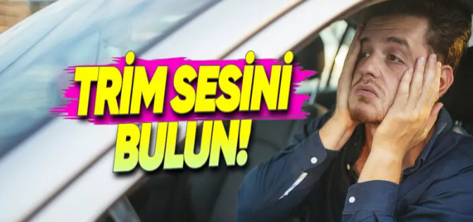 Trim Sesi Yapmayan Profesyonel Multimedya Montaj Standartlarımız